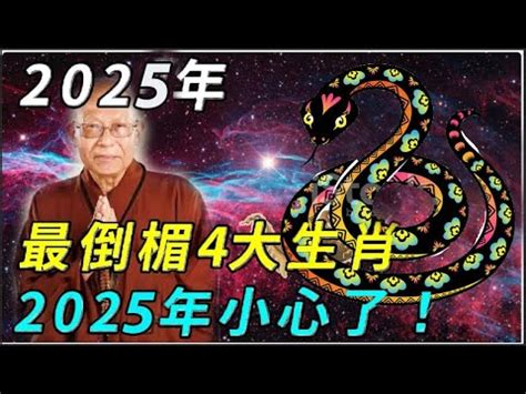 生肖2025